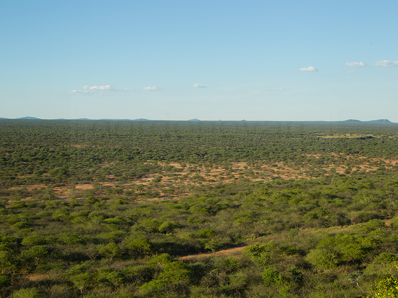 A view of the Okonjima Game Reserve