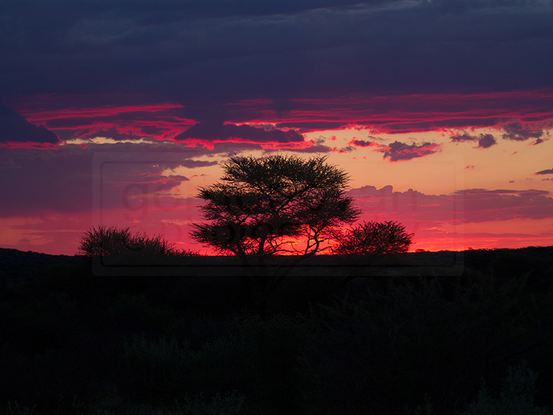 The sun sets at the Okonjima Game Reserve