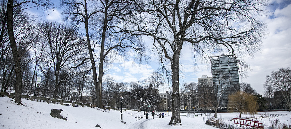 The snow covered trees and lawn near the Harlem Meer in Central Park on Friday Jan. 9, 2015. (Gordon Donovan/Yahoo News)