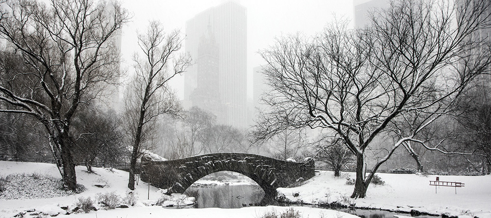 Snow covers landscape and the Gapstow Bridge in New York City's Central Park, Friday Jan. 9, 2015. (Gordon Donovan/Yahoo News)
