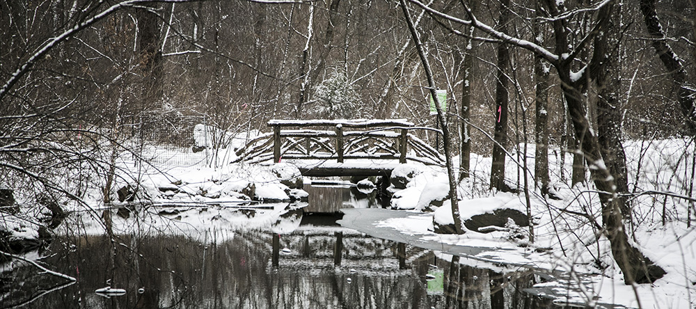 A bridge and the North Woods is covered in the white stuff in New York's Central Park on Friday Jan. 9, 2015. (Gordon Donovan/Yahoo News)