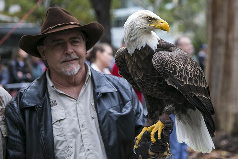 Challenger the Bald Eagle poses during a ceremony honoring veterans at Madison Square Park in New York City on Nov. 11, 2015. (Gordon Donovan)