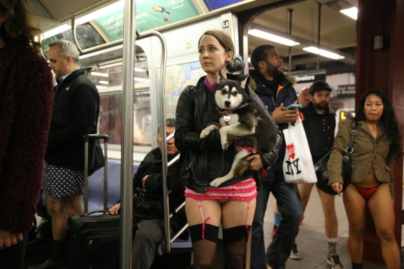 A young woman participating in the No Pants Subway Ride holds her dog who is wearing matching underwear, on the subway in New York City, Sunday, Jan. 10, 2016. (Gordon Donovan/Yahoo News)
