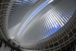 In an image taken with a fisheye lens, the ceiling of the Oculus mall at World Trade Center on Monday, August 22, 2016. (Gordon Donovan/Yahoo News)