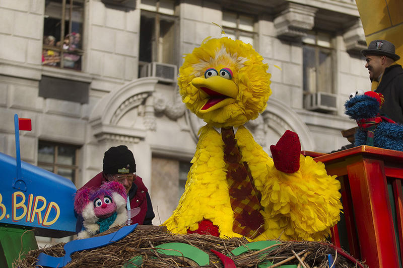 Big Bird rides on the 1-2-3 Sesame Street float during the 90th Macy’s Thanksgiving Day Parade in New York, Thursday, Nov. 24, 2016. (Gordon Donovan/Yahoo News)