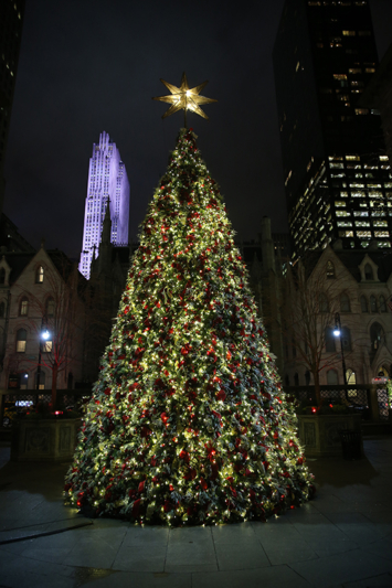Probably the loveliest Christmas tree in New York City, the tree in the courtyard of the New York Palace. Rockefeller Center beams in the background. (Gordon Donovan/Yahoo News)