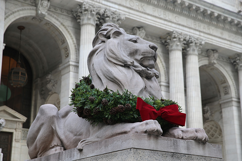 Patience sits with a wreath around his neck on the south side of the main steps of the majestic Beaux-Arts building at Fifth Ave. and 42nd St. in New York City. (Gordon Donovan/Yahoo News)