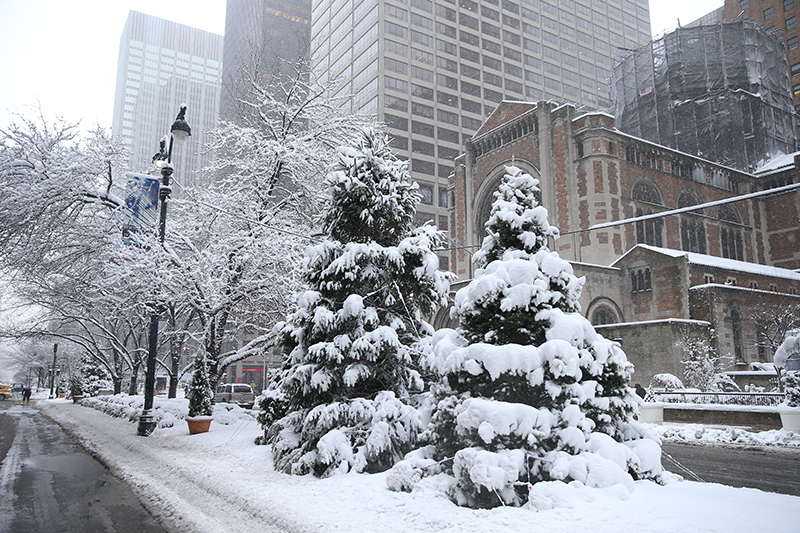 Snow covers trees on Park Avenue on Feb. 9, 2017, in New York. (Gordon Donovan/Yahoo News)